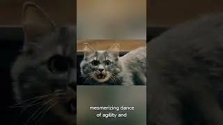 The Secret  Life Of The Feline Explorer #cats #catvideos #petanimals #catlover #catshorts