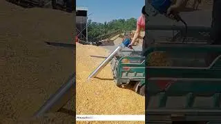 Rice Corn Sorghum Grain Portable Auger Hand Drill Pump Screw conveyor