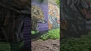 Monarch's Way Walking #Beautiful Graffiti