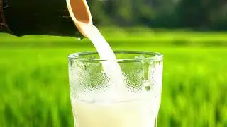 Palm Sugar Water (Sweet Relief) - Battambang Artist | Upbeat Bluegrass