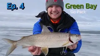 WHITEFISH SLAYDAY! Ice Fishing Green Bay....JUMBO WHITES