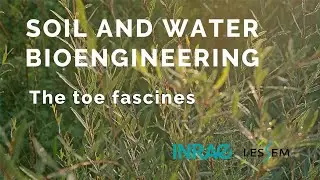 Bio-Engineering: Toe fascines (English versions with English subtitles)