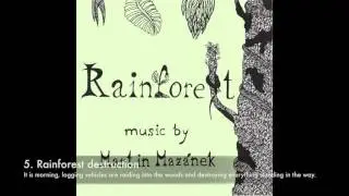 Martin Maz&aacute;nek - Rainforest
