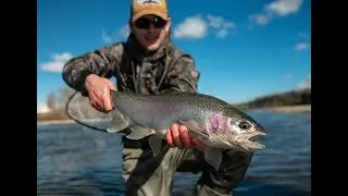 Big trout love eating smaller fish! Fly fishing with streamers