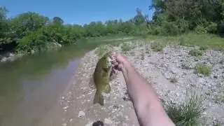 7 Mile Creek  Smallmouth  Bass