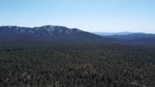 Drone Flights | Soaring Over Prescott National Forest | Arizona Pine Country from Above
