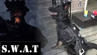 Dog Tactical Harness / K9 Harness / Military Dog Vest / SWAT / Review
