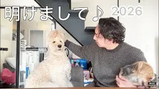 【２０２６】本年もよろしくお願いします！【ゴールデンドゥードル】