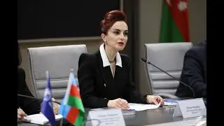 Roida Rzayeva - Siyasətin fəlsəfəsi. Analitik diskurslar: ideologiya, media, diplomatiya
