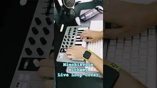 Kingdom Two Crowns OST (Amos Roddy) - Mischievous Alchemy (Live Loop Cover) #arturia #ableton #loop