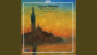 Sonata &agrave; 3 in A Major, Op. 1 No. 3: III. Grave
