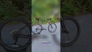 Marlin 4: Unboxing the Best Budget Mountain Bike? #shorts