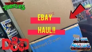 eBay Toy Haul!! MOTU CLASSICS, TMNT, Vintage Toys