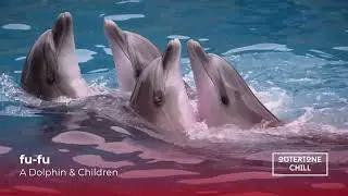 Chill Out, Chill Music by fu-fu - A Dolphin & Children (FREE DOWNLOAD)