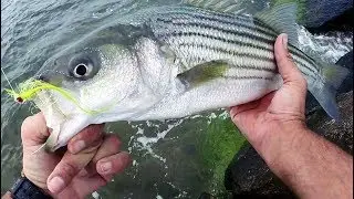 GOOD DEEP Summertime Fishing - STRIPED BASS / FLUKE / BLUEFISH - The Big Trio!