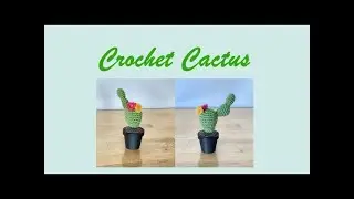 Crochet cactus update