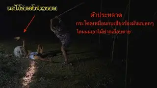 พิสูจน์ตัวประหลาดกระโดดเหมือนกบ“โดนผมเอาไม้ตีเกือบตายนึกว่าจะแน่
