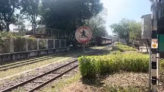 Alishan Forest Railroad doing switchback move in Chiayi, Taiwan 2/2024