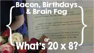 Bacon, Birthdays and Brain Fog or What's 20 x 8? (Feat. ACE Curriculum)