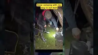 Snow camping with my dog in hot tent#camping #snowcamping #wintercamping #campingintherain