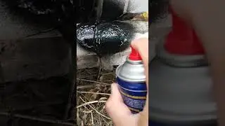 LLPT Waterproof Patch Seal Spray