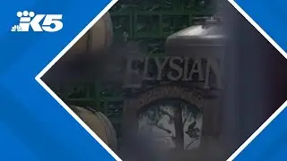 Elysian Brewing to close Seattle production facility and taproom