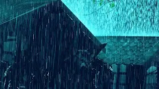 Heavy Rain And Thunderstorm Sounds For Deep Sleep And Stop Overthinking ⛈️ Calm Night Ambience