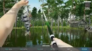 Ultimate Fishing Simulator 2 Gameplay / Early Access