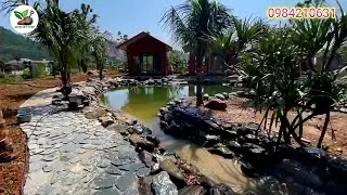 Thi công hồ bơi sinh thái lót bạt lọc phương pháp tự nhiên tại Hà Nội