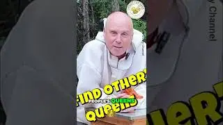 Beekeeper Finds Queen Bee! See the Victory! #shorts