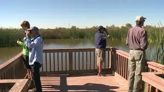 Yolo Bypass Wildlife Area