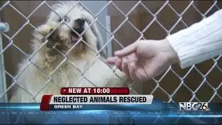 Bay Area Humane Society rescues 30 animals