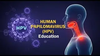 Human Papillomavirus Education | The Doctors Guild