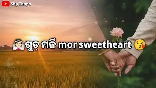 🌅Good Morning 🛌🏻🧖🏻Shayari 🥀 New Sambalpuri Love Shayari Status Video #whatsappstatus #2026 #sbpthapa