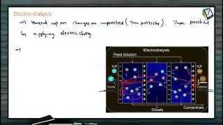 Purification Of Colloids