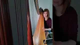 A mini harp lesson!
