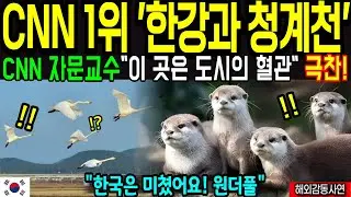 서울 한강 또난리났다! CNN 시청률 초대박! 서울의 도시공학,생태계에 놀랐다가 도시시스템과 공공교통에 깜짝  [해외감동사연]
