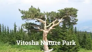 Vitosha Nature Park in Bulgaria