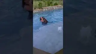 Schutz's first time in the pool