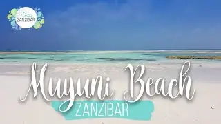 Muyuni Beach Zanzibar | Video Hd