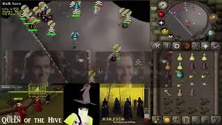 MISFITS THE BEST RUNESCAPE PK CLAN KILLS terror + legacy and kills main rag crasher zenith in 30secs