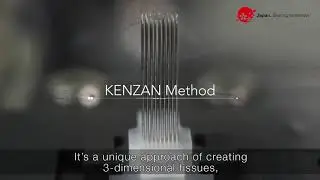 Innovating Future: Bio 3D Printer