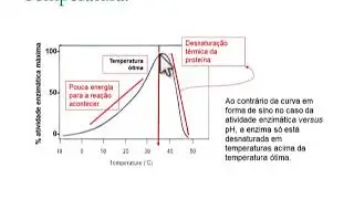 Fatores que interferem na atividade enzimática (ensino superior)