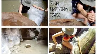 ZION NATIONAL PARK NARROWS & ORDERVILLE CANYON HIKE | Katie Carney