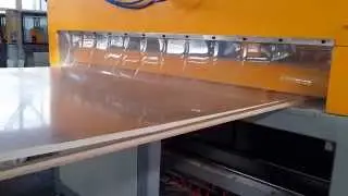 parkistan customer---pvc wood furniture board making machine