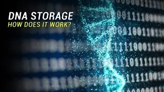 DNA could store all of the world's data in a single room