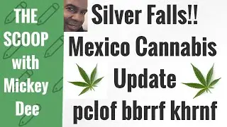 Silver Stocks Lower / Mexico Cannabis Trade Update (PCLOF) (KHRNF) (BBRRF) / The Scoop