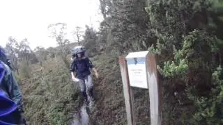 Bushwalking in Tasmania, The Penguin To Cradle Trail, Day 5