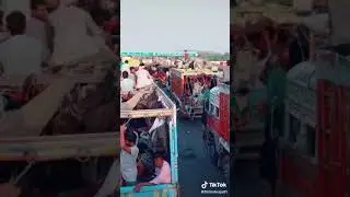 gale ka my Delhi lockdown fas Gaile Saiya