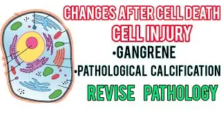 Gangrene & Pathological Calcification Changes After Cell Death [Cell injury Part 4]